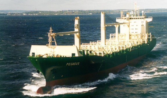 Year 	 	: 1998
name   	: PEGASUS
Type series 	: Container vessel 1850 TEU - 8138/5
General Designer : mgr inż. Wojciech Żychski.